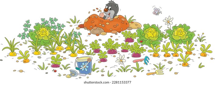Funny mole peeking out of its new hole among green ripening vegetables in a summer kitchen garden, vector cartoon illustration isolated on a white background