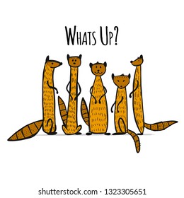 Funny mongooses, sketch for your design