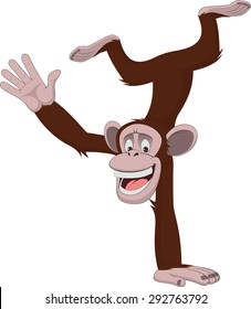 Funny monkey