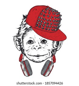 Funny monkey in a cap. Animals, clothing and accessories. Vector illustration.