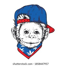Funny monkey in a cap. Animals, clothing and accessories. Vector illustration.