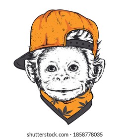 Funny monkey in a cap. Animals, clothing and accessories. Vector illustration.