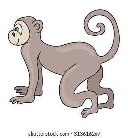 Funny monkey. Cartoon and vector isolated character
