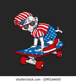 A funny monkey in clothes and accessories on a skateboard. Vector illustration.