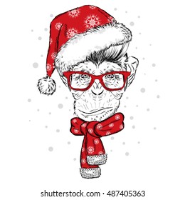 Funny monkey with glasses, hat and scarf. Vector illustration. Scarf, hat and glasses. Postcard or poster. Print on clothes. New Year's and Christmas.