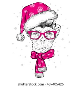 Funny monkey with glasses, hat and scarf. Vector illustration. Scarf, hat and glasses. Postcard or poster. Print on clothes. New Year's and Christmas.