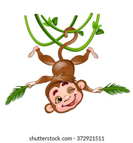 Funny monkey hanging on a vine upside down. Vector.