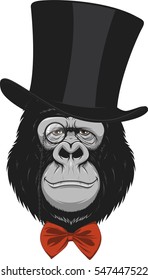 Funny monkey in a hat
