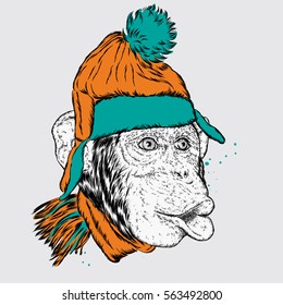 Funny monkey in a hat. Vector illustration for a card or poster, print on clothes.