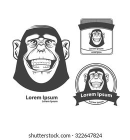 funny monkey head, for logo, zoo concept, front view, simple illustration
