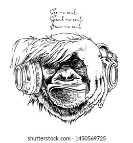 Funny Monkey in headphone has its eyes covered by its hand  See no evil  Speak no evil  Hear no evil    lettering quote  Humor card  t  shirt composition  hand drawn style print  Vector illustration 
