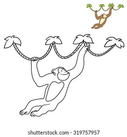 funny monkey on liana , cartoon vector. Coloring book