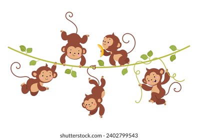 Funny monkey on liana. Cute monkeys hang on vine, tropical exotic wild animals banner. Rainforest childish characters, nowaday vector background