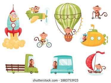 Funny Monkey with Protruding Ears Driving Bus and Riding Bicycle Vector Set