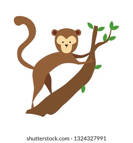 funny monkey wild character