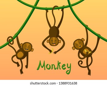 Funny monkeys dangle on liane, isolated element, vector set