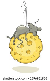 Funny Mouse sleep on cheese / Vector illustration, postcard to the year of the rat