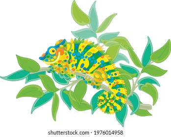 Funny multi colored chameleon, exotic lizard with protruding eyes and a prehensile tail, sitting on a green tree branch in a wild tropical jungle, vector cartoon illustration isolated on white