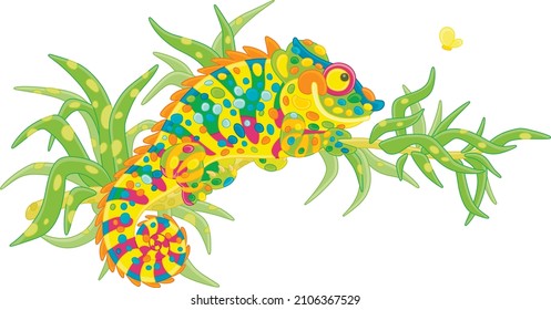 Funny multi colored chameleon, exotic lizard with protruding eyes and a prehensile tail, hiding among green leaves of a tropical tree branch in a wild jungle, vector cartoon illustration