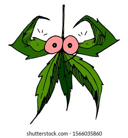 Funny multi-colored hemp sticker on a white background.