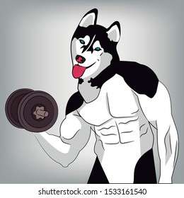 Funny Muscular Husky Dog, Ideal For Gym Logos