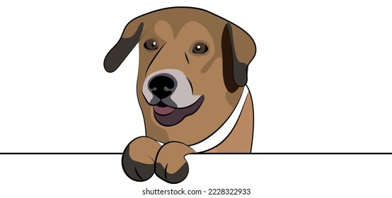 Funny Mutt dog with paws over a white wall, in a pocket vector illustration. Funny dog smiling. Cute dog head on a white background. Hand-drawn mascot. Smiling Mixed-breed dog muzzle. BFF. 