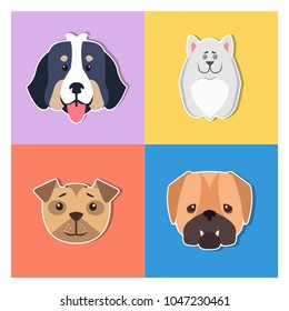 Funny muzzles cartoon puppies heads collection, flat vector isolated on color backgrounds. Lovely purebred pets illustration for animal friend concept, shop or veterinary clinic ad