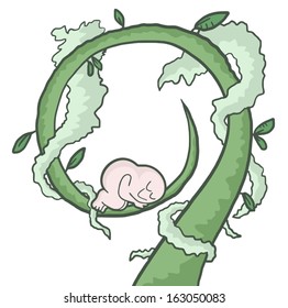 Funny nature sleep