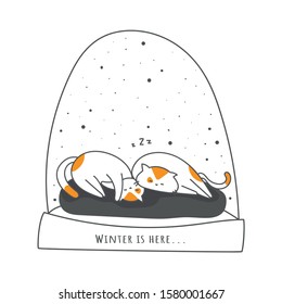 Funny new year cat sleep in love in glass ball with snow . Merry christmas, best holiday with kitty, happy 2020