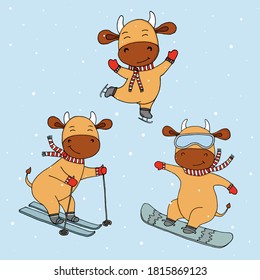 Funny new year's cows in winter sports. Symbol of 2021. Winter activities. Animals and sports. Idea for postcard for New Year's holidays with the symbol of the year. 