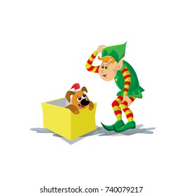 Funny New Year's elf and a cheerful puppy in a box.