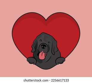 Funny Newfoundland dog hanging with paws in a big Valentine's day heart. Love heart with pet head and heart and footprint. Dog face Holding red Heart Cartoon Icon. St Valentine's day for dog funs.