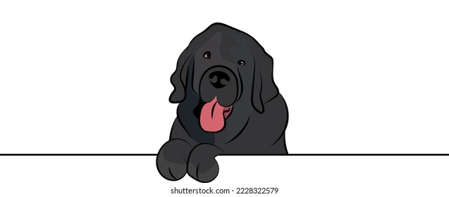 Funny Newfoundland dog with paws over a white wall, in a pocket vector illustration. Funny dog smiling. Cute dog head on a white background. Hand-drawn mascot. Smiling dog muzzle. BFF.