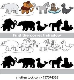 Funny Northern Animals set to find the correct shadow, the matching educational kid game to compare and connect objects and their true shadows, simple gaming level for preschool kids.