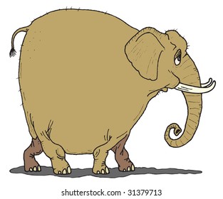 A funny old elphant