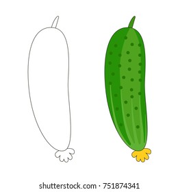 Funny One Single Cucumber cartoon. Outlined illustration with thin line black stroke, the colorless and colorful versions.