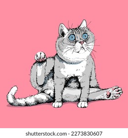 Funny open-eyed pet. The cat washes. Humor card, t-shirt composition, meme, hand drawn style print. Vector illustration.