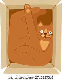 Engraçado gato laranja enrolado dentro de uma caixa de papelão. Ideal para ilustrações de animais de estimação humorísticos, memes e projetos bonitos.
