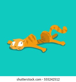 A Funny Orange Cat Got Run Over