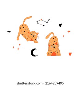 
Funny orange cats. Cats and stars. Meow Magic. Astrological motives. Illustration for tarot cards.