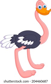 Funny ostrich cartoon 