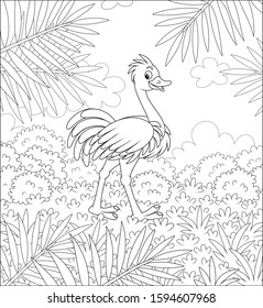 Funny ostrich walking on grass in savanna against the background of bushes and palm branches on a warm summer day, black and white vector cartoon illustration