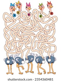 Funny ostriches with long, tangled necks. Children logic game to pass the maze. Educational game for kids. Choose right path. Write correct answers. Funny cartoon character. Isolated white background