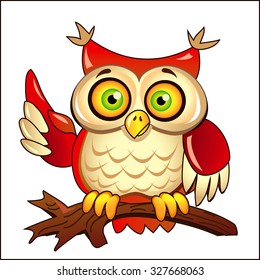 Funny Owl