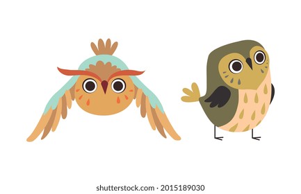 Funny Owl Birds Set, Cute Lovely Owlets Cartoon Vector Illustration