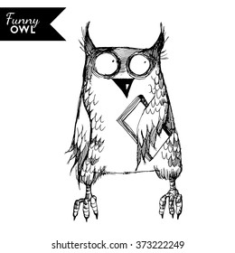funny owl character