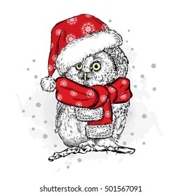 Funny owl in Christmas hat. Vector illustration. Christmas and New Year. Sweet bird.