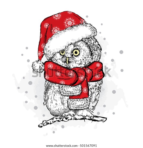 Funny Owl Christmas Hat Vector Illustration Stock Vector Royalty