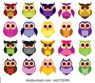 Funny Owl Collection