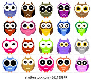 Funny Owl Collection